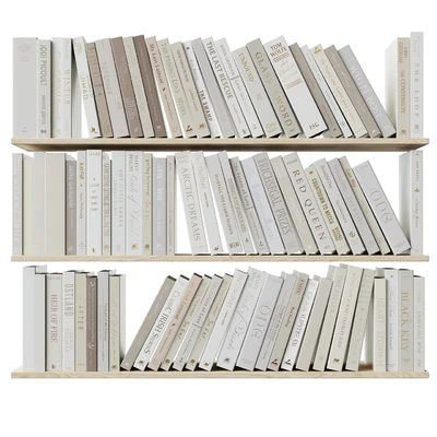 A set of books Books dark beige 1 — Ver 4