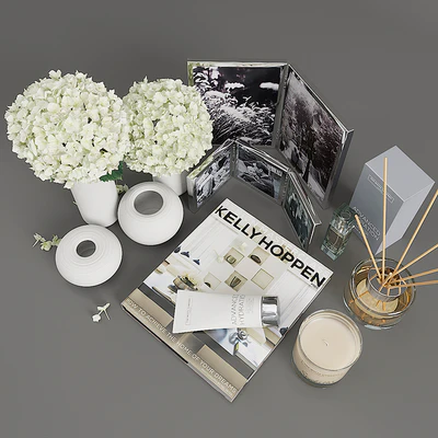 Decorative set with hydrangea — Ver 3