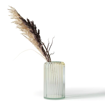 Set of 5 bouquets of dried flowers in glass vases — Ver 3