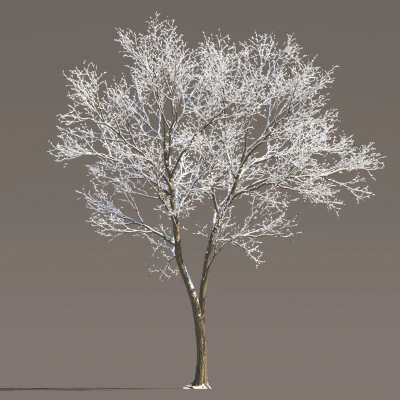 074 winter — Descargar