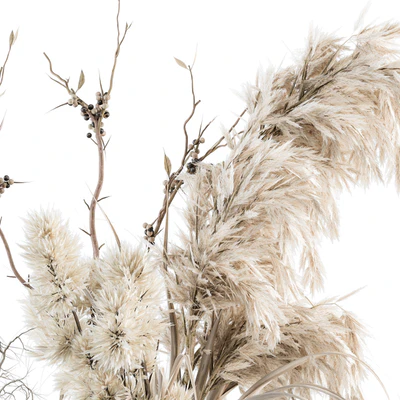 Dry plants 70 - Dried Pampas Set — Ver 4