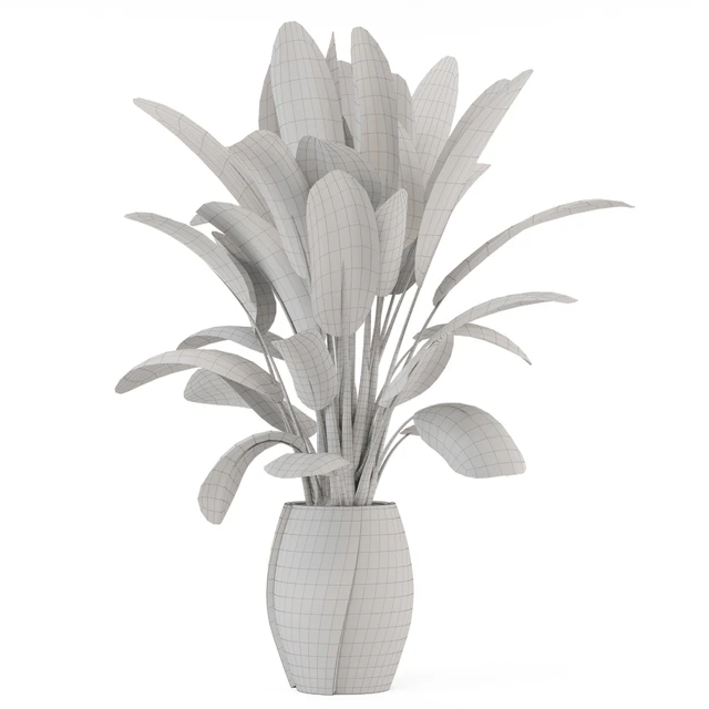 Indoor Plants  in rusty Concrete Pot - Set 1612 — Скачать