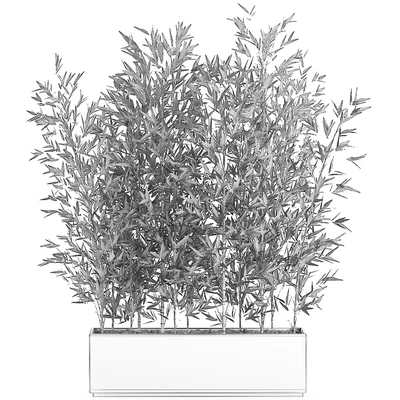Lush thickets of bamboo bushes in a white pot pot, bamboo. Set 579. — Ver 4