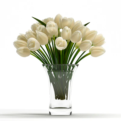 LIGHT TULIP — Ver 2