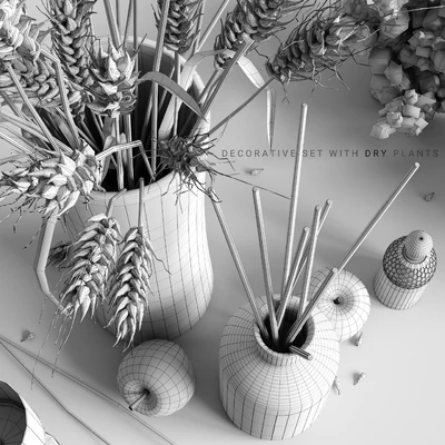 Decorative set with dry plants — Вид 3