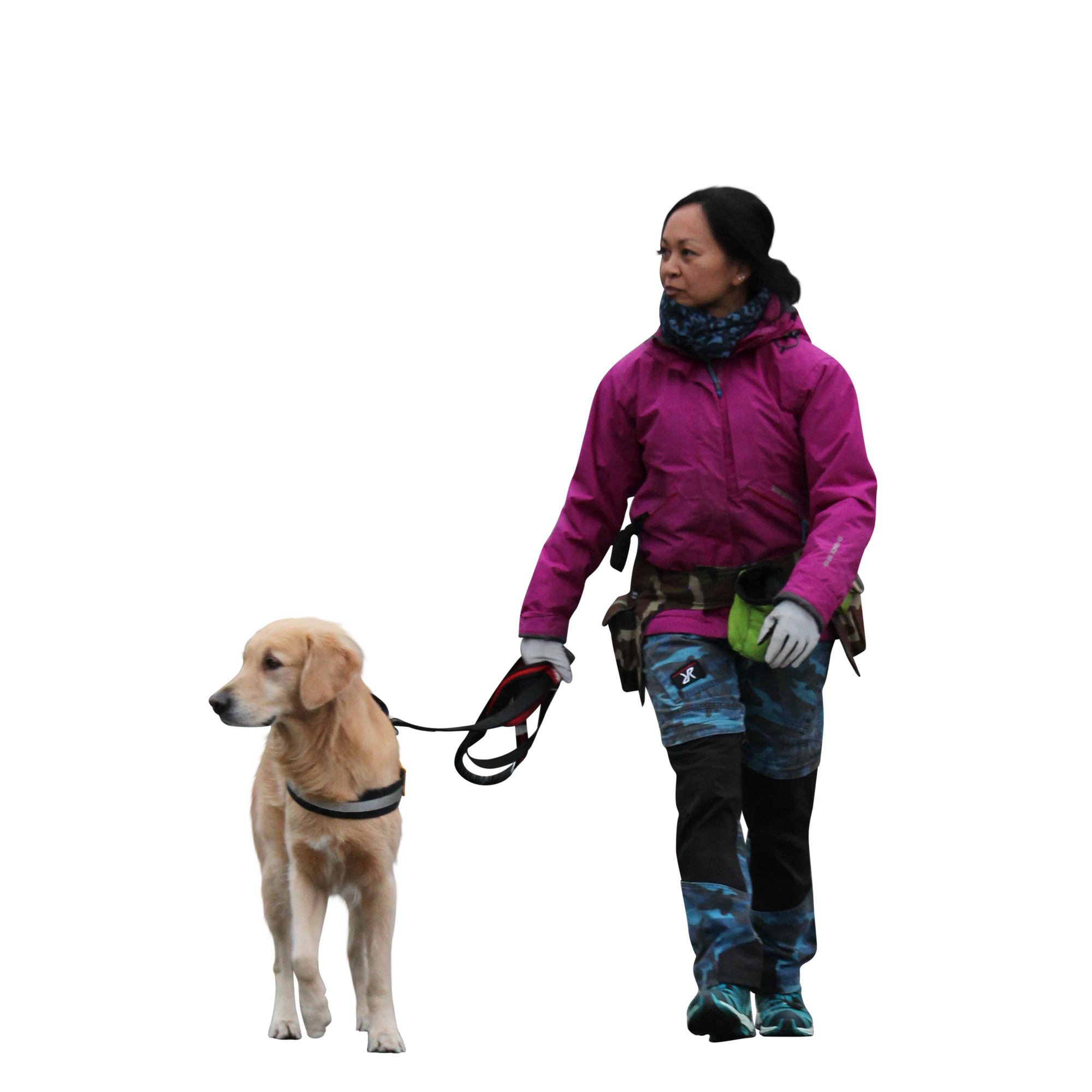 080 — Скачать