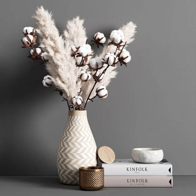Decorative set pampas — Descargar