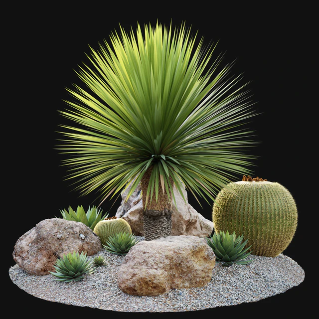 Australian garden — Скачать