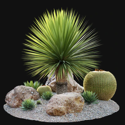 Australian garden — Вид 1