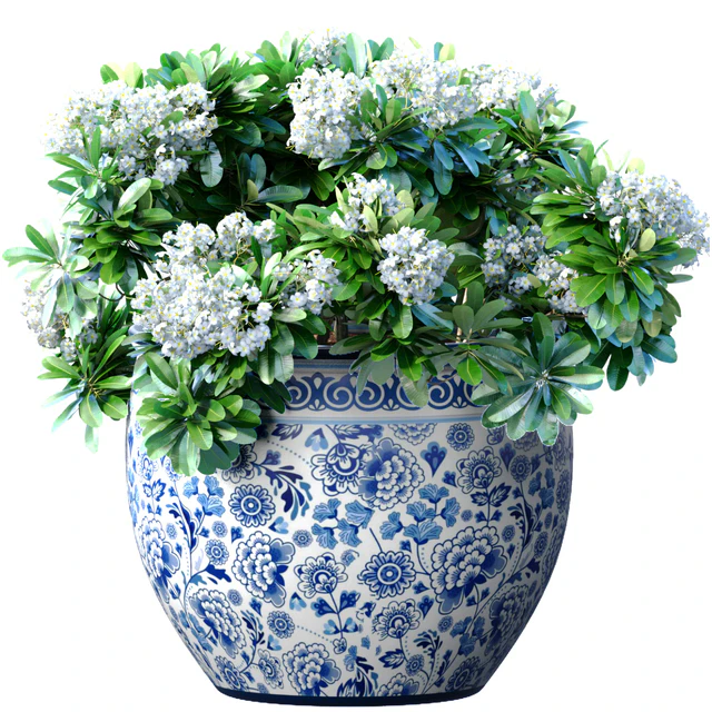 Bouquet of white flowers in a potted vase for decoration — Descargar