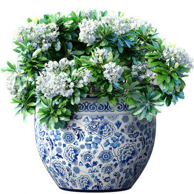 Bouquet of white flowers in a potted vase for decoration — Ver 1
