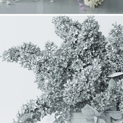 lilac 4 — Ver 3