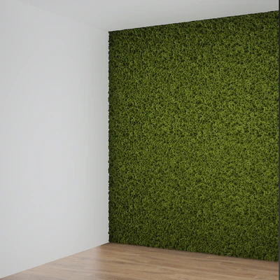 moss — Вид 4