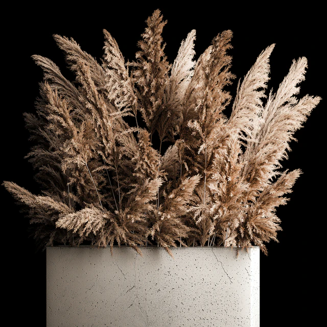 Dried flower bouquet of pampas from dry reeds in a concrete vase of pampas grass, Cortaderia. 268. — Descargar