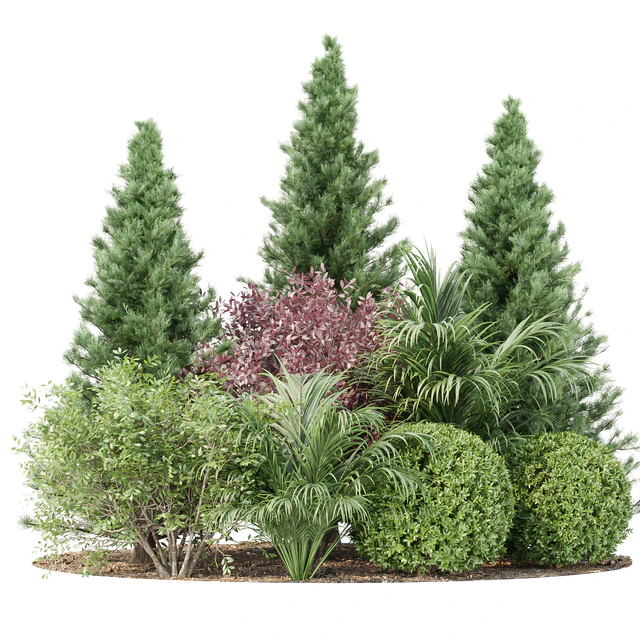 Garden collection vol 196 — Descargar
