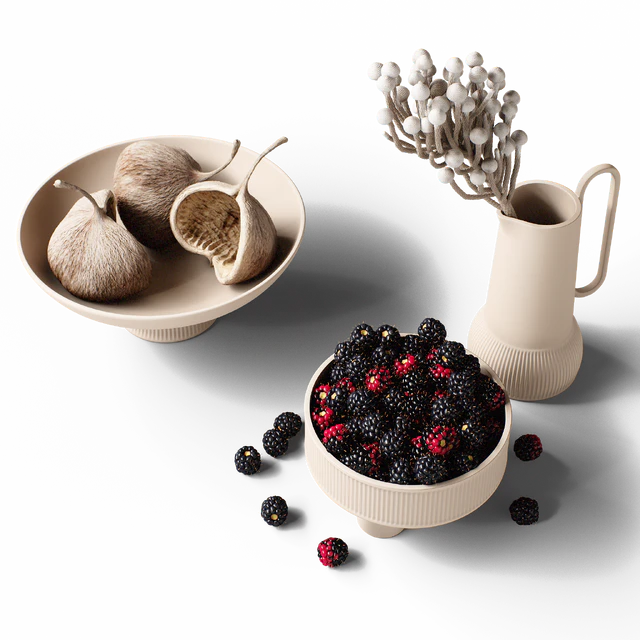 Decorative set 77 Blackberry and brunia — Descargar