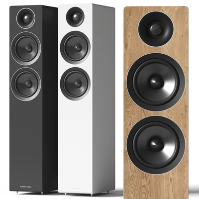 Acoustic Energy AE 309 — Ver 1