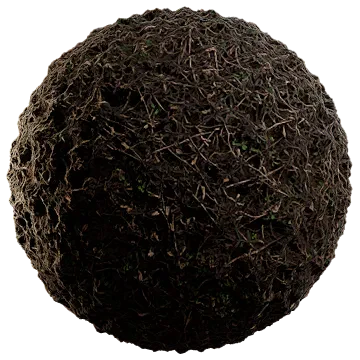 dried scarce grass 003 — Descargar