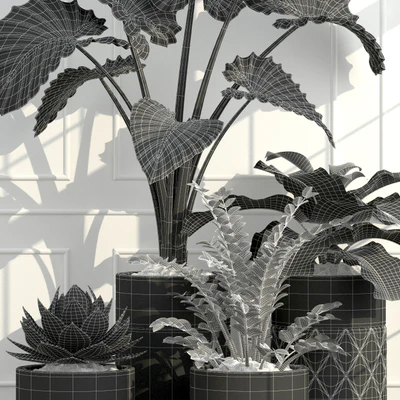 Longhi Godwin — Вид 3