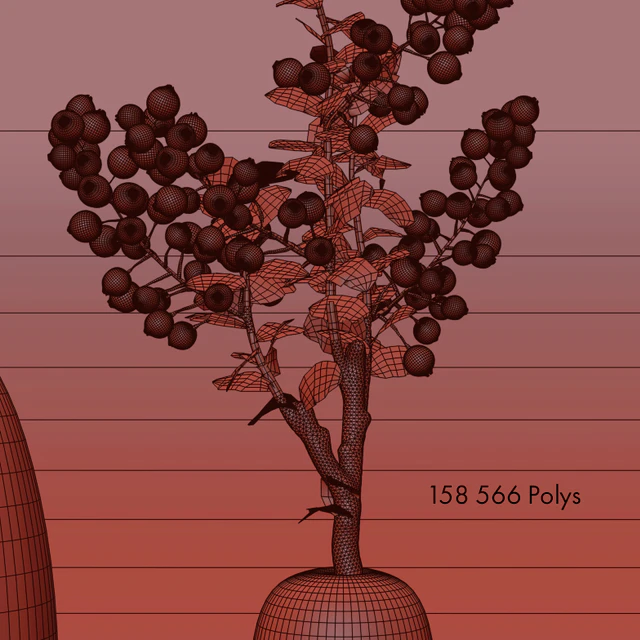 Decorative set with berries — Descargar