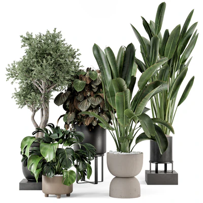 Indoor Plants in Ferm Living Bau Pot Large - Set 1204 — Ver 1