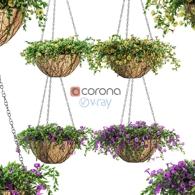 Flowers in a flower pot on a chain. Petunia. 4 models — Descargar