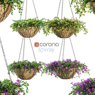Flowers in a flower pot on a chain. Petunia. 4 models — Ver 1