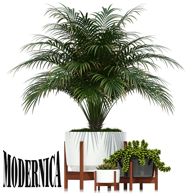 Plants collection 68 Modernica pots — Descargar