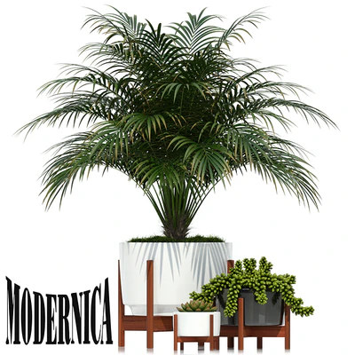 Plants collection 68 Modernica pots — Ver 1