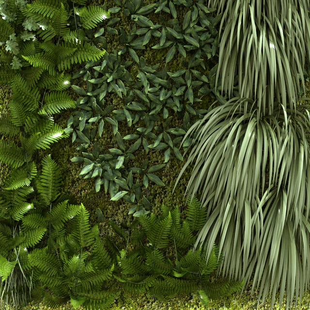 vertical plant 156 — Descargar