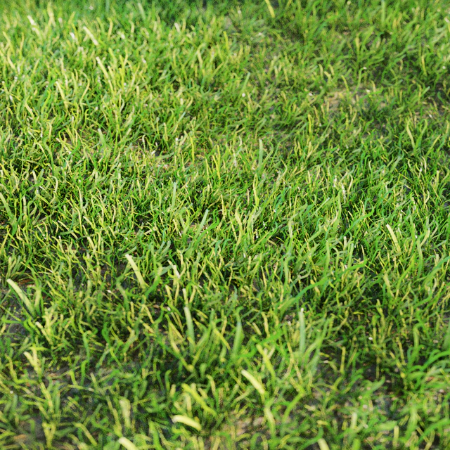 Grass for landscaping — Descargar