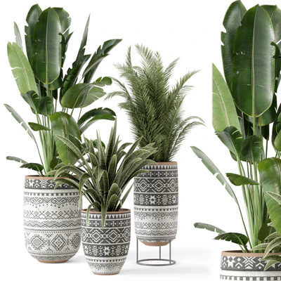 Indoor Plants  in rusty Concrete Pot - Set 628 — скачать