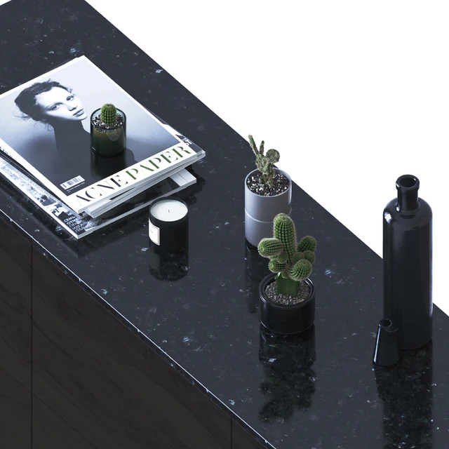 Decorative set with cactuses — Descargar