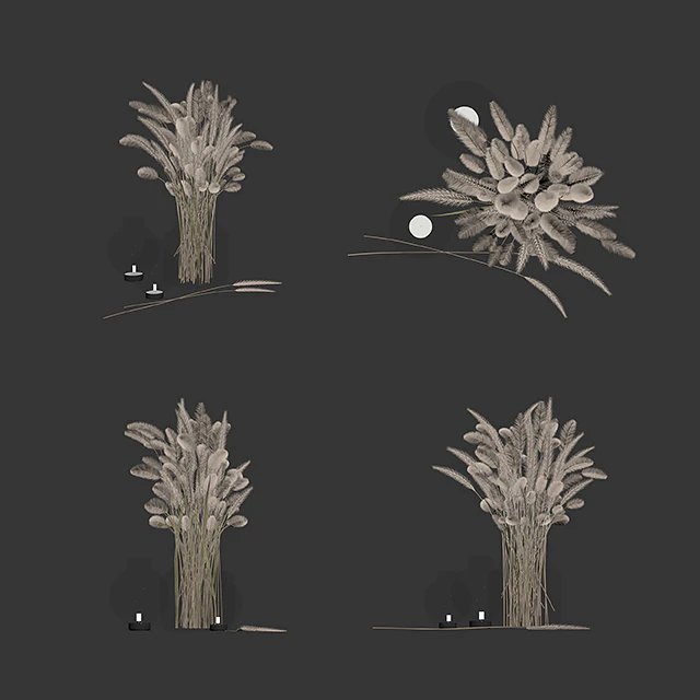 Dry flowers in glass vase — Descargar