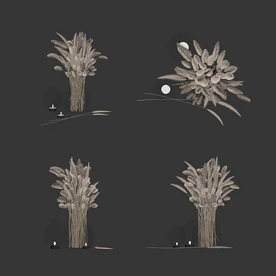 Dry flowers in glass vase — Ver 5