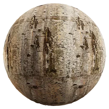 birch bark 006 — Скачать