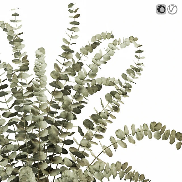 Eucalyptus 3 — Download