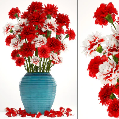 Bouquet of flowers 13. Carnation, vase, red flowers, decor — Ver 1