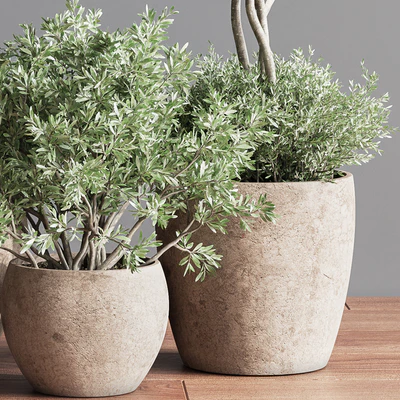 Indoor Plant Set 59 — Ver 7
