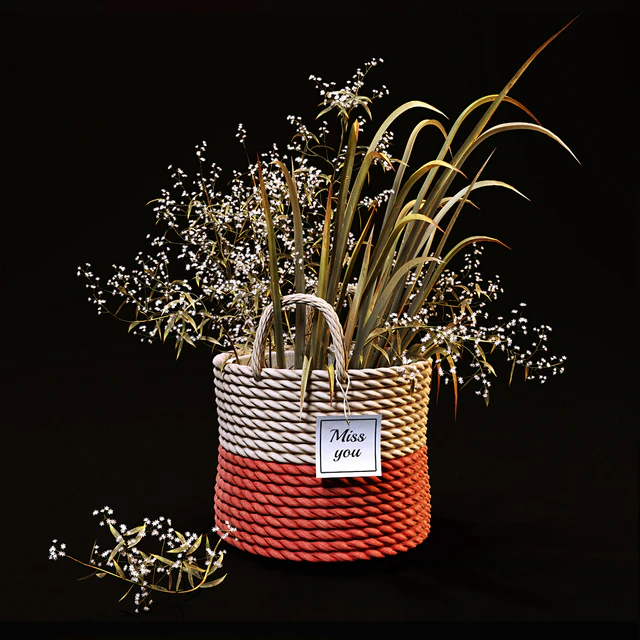 Field plants set — Скачать
