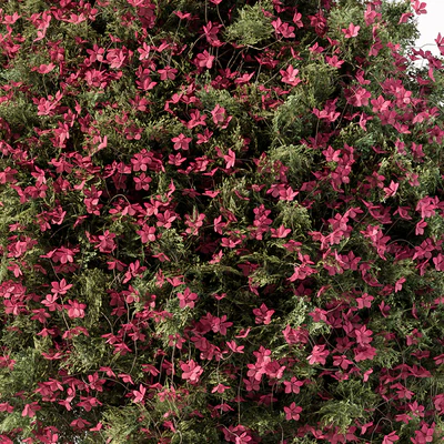 Flower Tree  - Set 104 — Вид 2