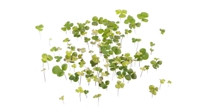 clovers 001 — Скачать