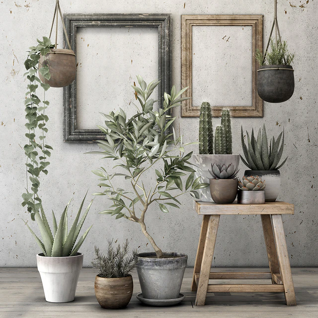 Decorative plant set — Descargar