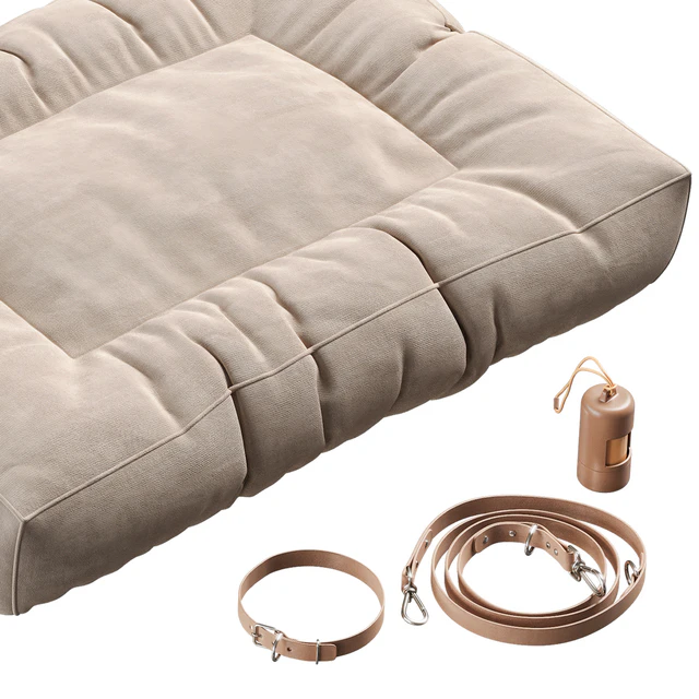 Accessories for cats and dogs NG2 — Descargar
