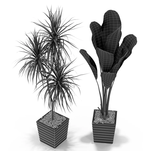 Plants collection 371 — Descargar
