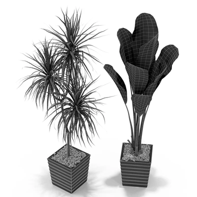 Plants collection 371 — Ver 5