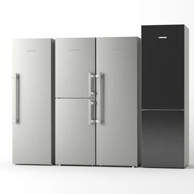 Refrigerator set Liebherr — Ver 5