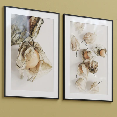 Framed Print P-204 — Вид 3
