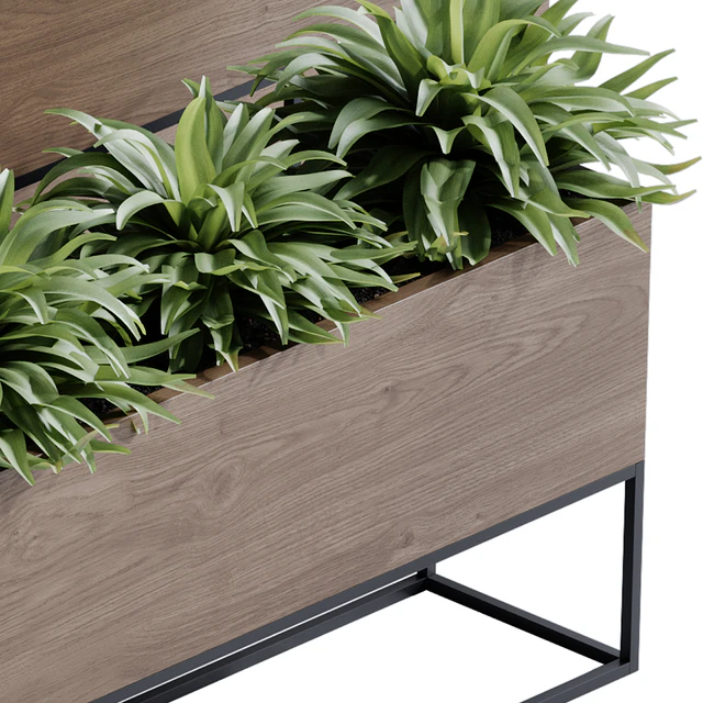 indoor plant set 65 — Descargar