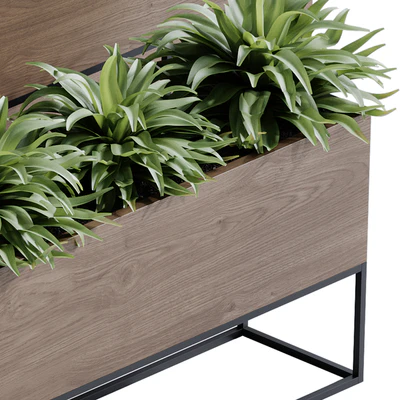 indoor plant set 65 — Ver 5